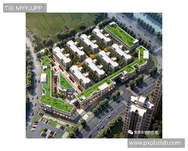 独家解析成都篮球队灵活性优势与不足的全面对比分析