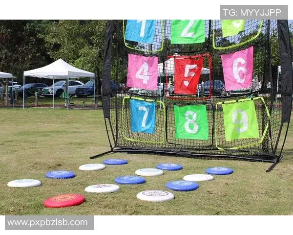 飞盘运动的崛起与吴丽的成功秘诀揭秘