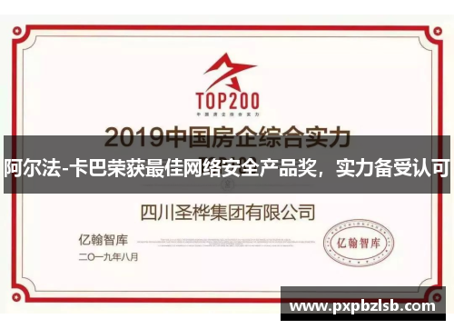 阿尔法-卡巴荣获最佳网络安全产品奖，实力备受认可