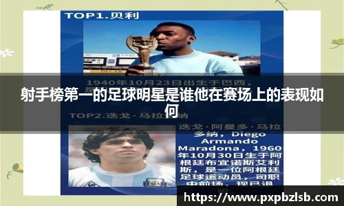 zoty中欧体育官方网站