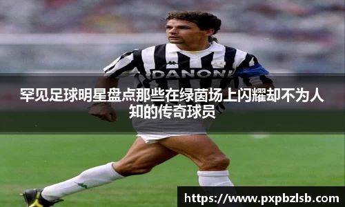 zoty中欧体育官方网站